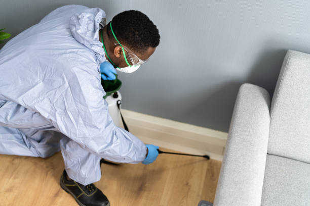 Best Fumigation Services  in Silver Ridge, NJ